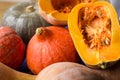 Autumnal ripened yellow, orange, green pumkins full and cut