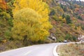 Autumnal road Royalty Free Stock Photo