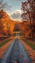 Autumnal Road Through a Forest Illustration Royalty Free Stock Photo