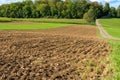 Autumnal Roadside View: Plowed Field Leading to Majestic Forest