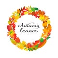 Autumnal round frame. Wreath of autumn leaves. design elements. Vector illustration.