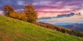 Autumnal rural landscape at dusk Royalty Free Stock Photo