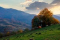 Autumnal rural landscape at dusk Royalty Free Stock Photo