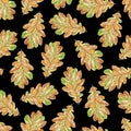 Autumnal s background with colorful oak leaves on a black background. Seamless pattern. Watercolor illustration. Leaf fall. For Royalty Free Stock Photo