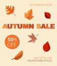 Autumnal sale with colored leaves.