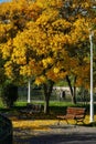 Autumnal scene in Morarilor Park in Bucharest Royalty Free Stock Photo