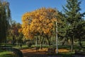 Autumnal scene in Morarilor Park in Bucharest Royalty Free Stock Photo