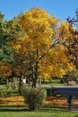 Autumnal scene in Morarilor Park in Bucharest Royalty Free Stock Photo
