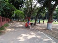 An autumnal scene of park adjacent to brahmaputra  river Royalty Free Stock Photo