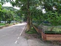 An autumnal scene of park adjacent to brahmaputra  river Royalty Free Stock Photo