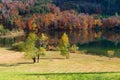 Autumnal scenery lake Laudachsee, green meadow and colorful forest, austria Royalty Free Stock Photo