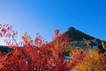 Autumnal scenery of Youyu