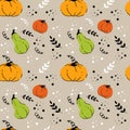 Autumnal seamless pattern with colored pumpkins