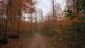 Hiking trail through Sonian forest in fall Royalty Free Stock Photo