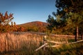 Autumnal sunset landscape with Sleza Mountain, Poland. Royalty Free Stock Photo