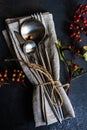 Autumnal table setting with wild red berries Royalty Free Stock Photo