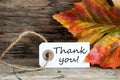 Autumnal Thank You Label