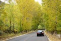 Autumnal trafficway Royalty Free Stock Photo