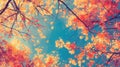 Autumnal Tree Branches Displaying Vivid Orange And Yellow Leaves Royalty Free Stock Photo