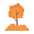 Autumnal tree leaves bushes natural isolated icon style