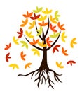 Autumnal tree with roots Royalty Free Stock Photo