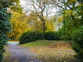 Autumnal trees in a Burnley Park