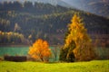 Autumnal trees by the lake scenery in Alps mountains, Italy Royalty Free Stock Photo