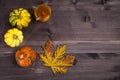 The Autumnal vegetables and leaves on dark wood Royalty Free Stock Photo