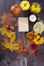 The Autumnal vegetables and leaves on dark wood Royalty Free Stock Photo