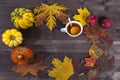 The Autumnal vegetables and leaves on dark wood Royalty Free Stock Photo