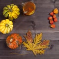 The autumnal vegetables and leaves on dark wood Royalty Free Stock Photo