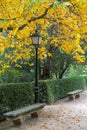 Autumnal view of ancient lamppost, stone benches, path and yellow trees in the botanical garden of Madrid, Spain, Europe Royalty Free Stock Photo