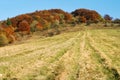 Autumnal view of strazov mount in strazovske vrchy