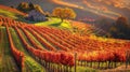 Autumnal Vineyard Landscape with Stone House and Trees Royalty Free Stock Photo
