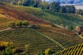 Autumnal vineyards on the hills of Roero in Italy.