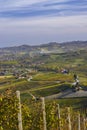 autumnal vineyards, Piedmont, Italy Royalty Free Stock Photo