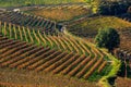 Autumnal vineyards of Roero in Northern Italy.