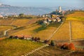 Autumnal vineyards and rural houses on the hill in Italy