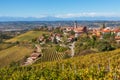 Autumnal vineyards and small town in Italy. Royalty Free Stock Photo