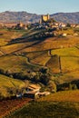 Autumnal vineyards and small town of Serralunga d`Alba in Italy. Royalty Free Stock Photo