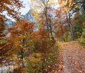 Autumnal walkway along lake Laudachsee, katzenstein mountain, austrian alps