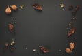 Autumnal-winter composition with dried leaves, bark of trees and berries on dark background. Flat lay, copy space