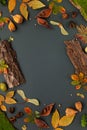 Autumnal-winter composition with dried leaves, bark of trees and berries on dark background. Frame of plants. Flat lay, copy