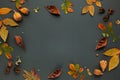 Autumnal-winter composition with dried leaves, bark of trees and berries on dark background. Frame of plants. Flat lay, copy