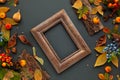 Autumnal-winter composition with dried leaves, pumpkins, bark of trees and berries on dark background. Frame of plants. Flat lay,