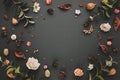 Autumnal-winter concept with dried flowers, leaves and berries on dark background. Frame of plants. Flat lay, copy space