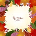 Autumnal wreath frame with colorful leaves on background