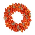 Autumnal Wreath with Physalis and Withywind (Physalis alkekengi and Clematis vitalba) Royalty Free Stock Photo