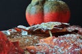 Autumnally Decorated Autumn Foliage With Pumpkin,snow And Ice Crystals