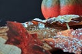 Autumnally Decorated Ice Crystals With Pumpkin,snow And Autumn Foliage